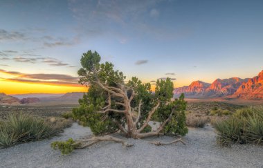 Red Rock Kanyonu, Nevada