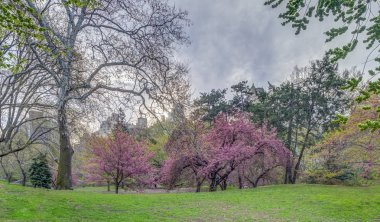 Central Park, New York City bahar
