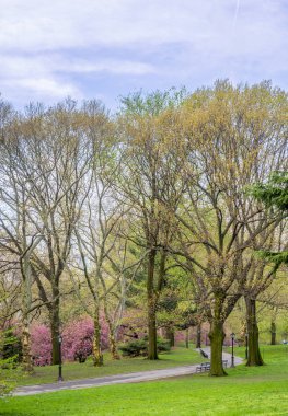 Central Park, New York City bahar