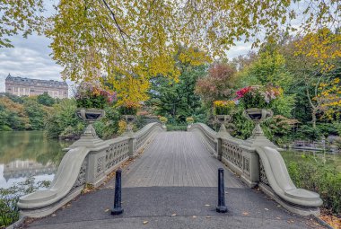 Bow köprüsü,Central Park, New York Cit