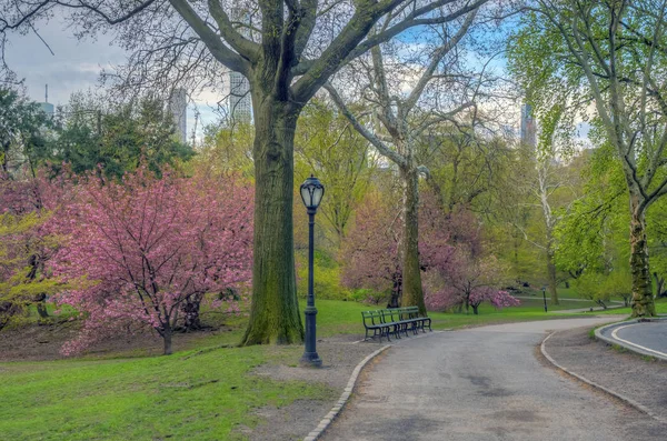 Central Park, Nova York na primavera — Fotografia de Stock