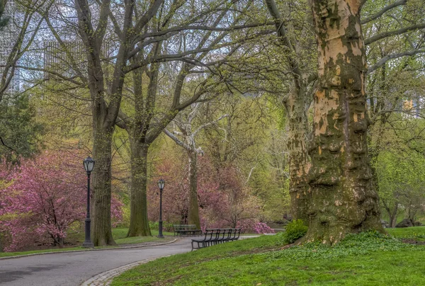 Центральный парк, Нью-Йорк весной — стоковое фото