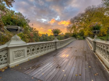 Bow köprüsü,Central Park, New York Cit
