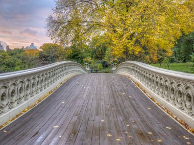 Bow köprüsü,Central Park, New York Cit