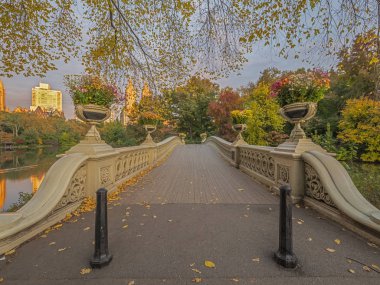 Bow köprüsü,Central Park, New York Cit