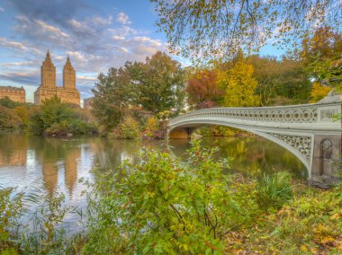 Bow köprüsü,Central Park, New York Cit