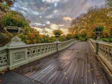 Bow köprüsü,Central Park, New York Cit
