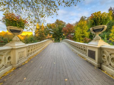 Bow köprüsü,Central Park, New York Cit