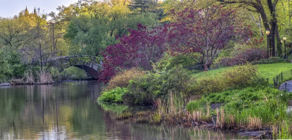 Ponte Bow, Central Park, New York Cit — Fotografia de Stock