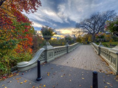 Bow köprüsü,Central Park, New York Cit
