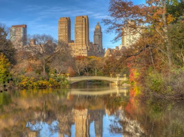 Bow köprüsü,Central Park, New York Cit