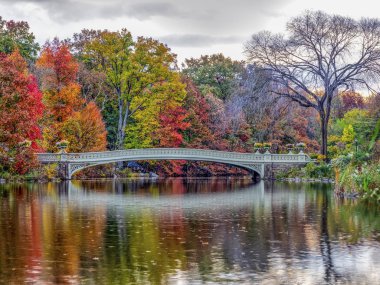 Bow köprüsü,Central Park, New York Cit
