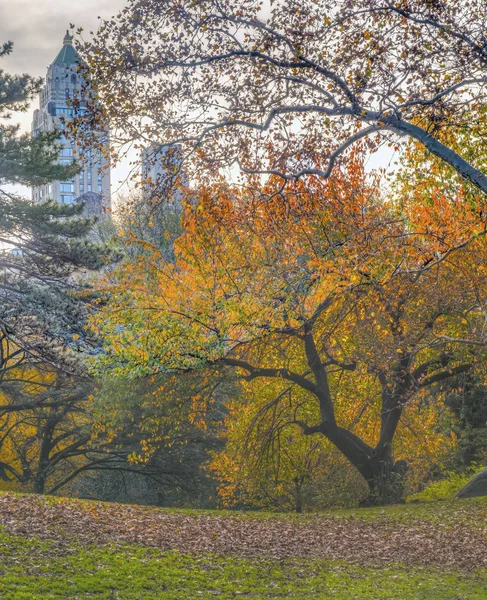 Central Park, New York City i höst — Stockfoto