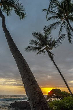 Hawaii büyük Adası günbatımı