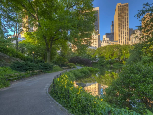 Central Park verano — Foto de Stock