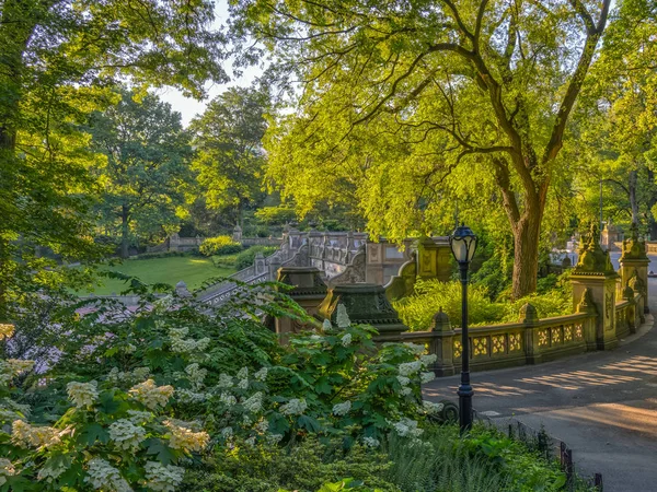 Bethesda-Terrasse und Brunnen — Stockfoto