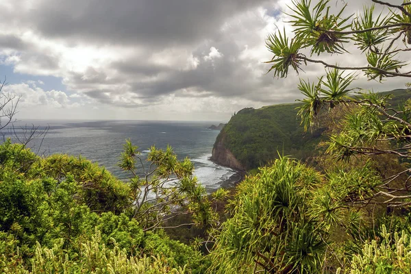 Grande isola delle Hawaii costa — Foto Stock