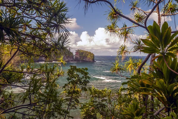 Grande isola delle Hawaii costa — Foto Stock