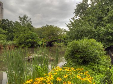 Central Park 'taki Gapstow Köprüsü