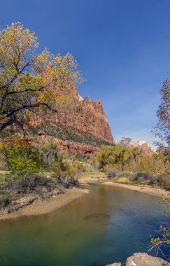 Zion national park