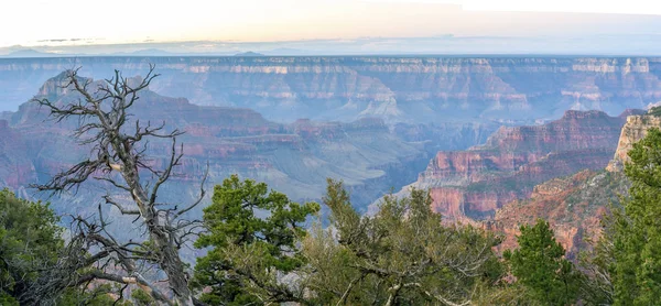 Βόρεια ΣΤΕΦΑΝΙ grand canyon — Φωτογραφία Αρχείου