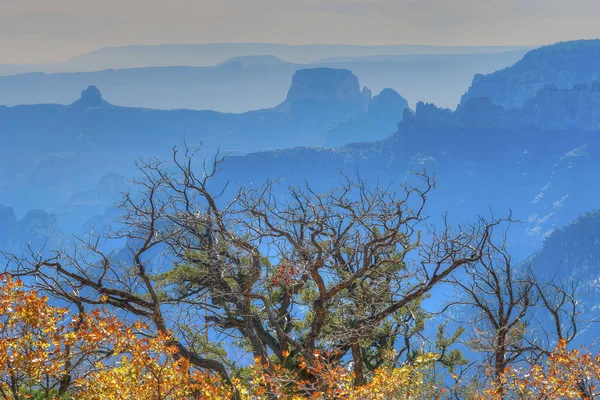 North Rim Grand Canyon — Stockfoto