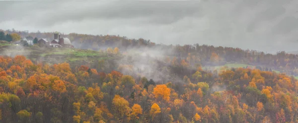 Foglie autunnali nella foresta del Vermont rurale — Foto Stock