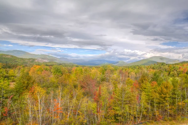 Hojas de otoño en el bosque — Foto de Stock