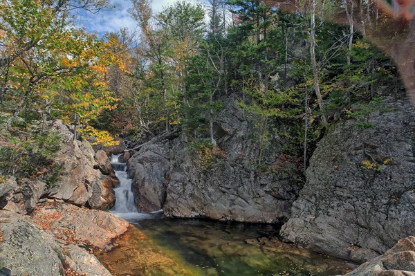 Höstlöv i skogen, Glen Ellis Falls Jackson NH — Stockfoto