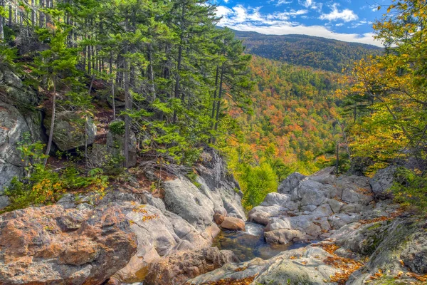 Foglie autunnali nella foresta, Glen Ellis Falls Jackson NH — Foto Stock