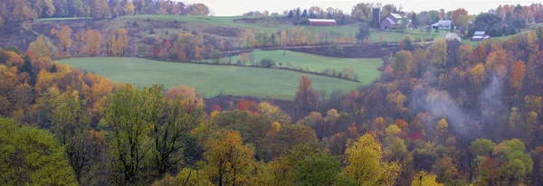 Folhas de outono na floresta no vermont rural — Fotografia de Stock