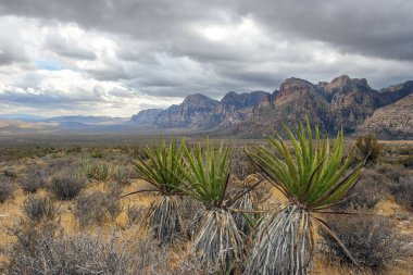 Red Rock Canyon, Nevada