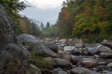 Seri nehirde sonbahar