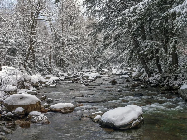 Texas tombe zone de rectreation en hiver — Photo