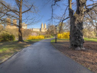 Central Park'ta bahar