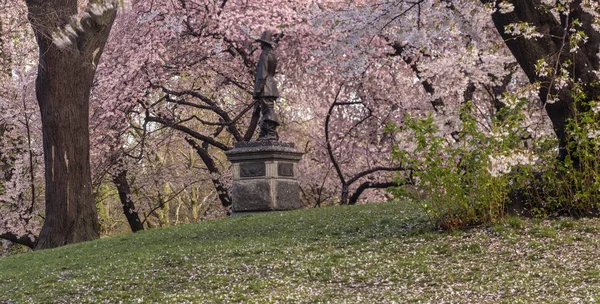 Central Park İlkbaharda Pilgrim Hill 'de — Stok fotoğraf