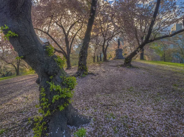 Central Park in primavera sulla collina pellegrina — Foto Stock