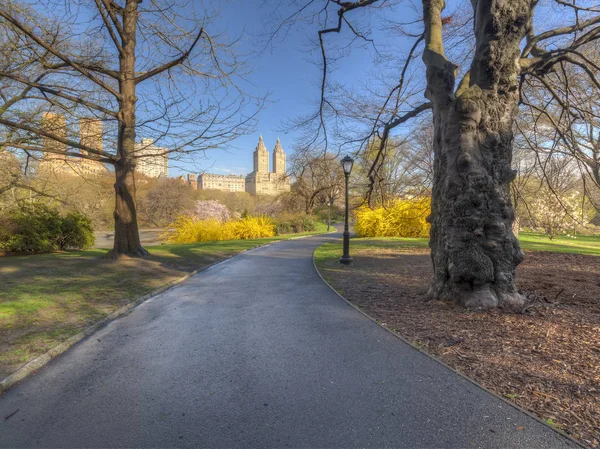 Central Park en primavera —  Fotos de Stock