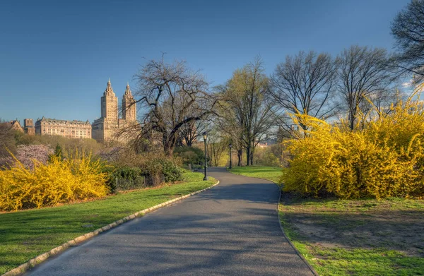 Central Park na jaře — Stock fotografie