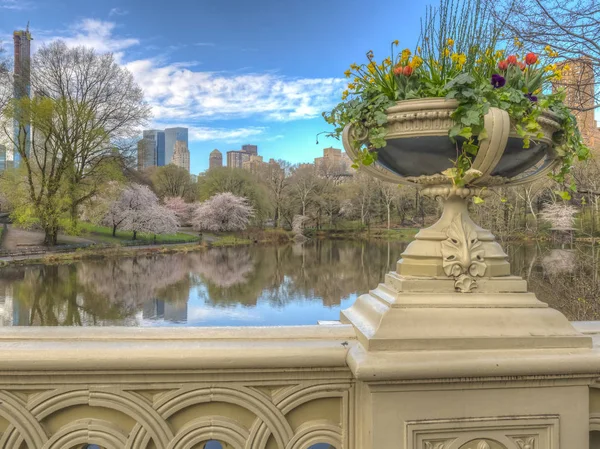 Central Park in spring — Stock Photo, Image