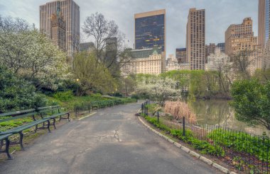 Central Park'ta bahar