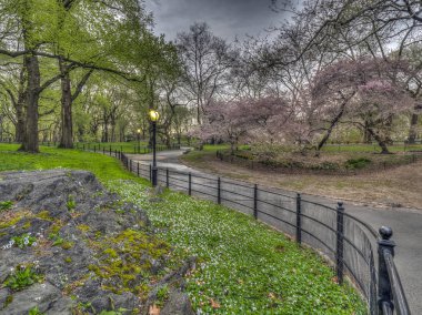 Central Park'ta bahar