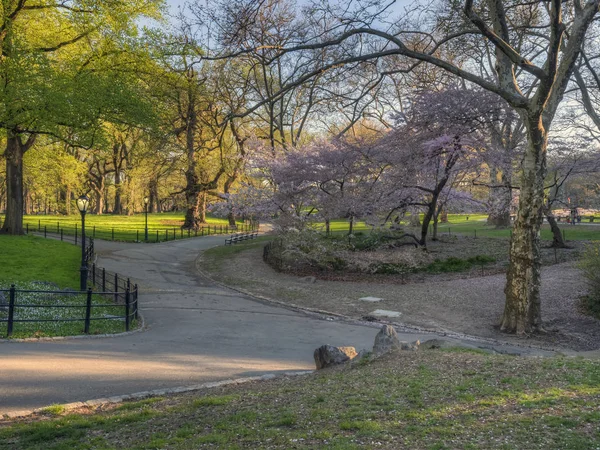 中央公园在春天 — 图库照片