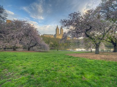 Central Park'ta bahar