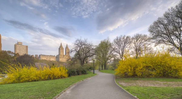 Central Park na wiosnę — Zdjęcie stockowe