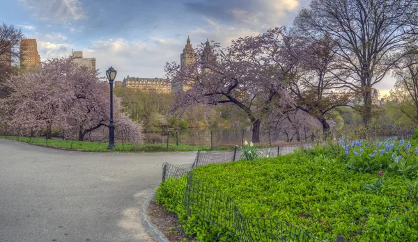 Central Park na Primavera — Fotografia de Stock