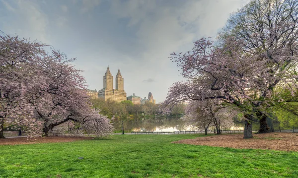 Central Park im Frühling — Stockfoto