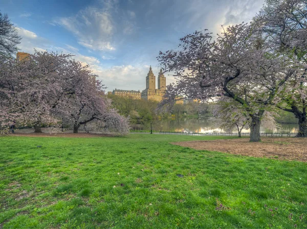 Central Park in primavera — Foto Stock