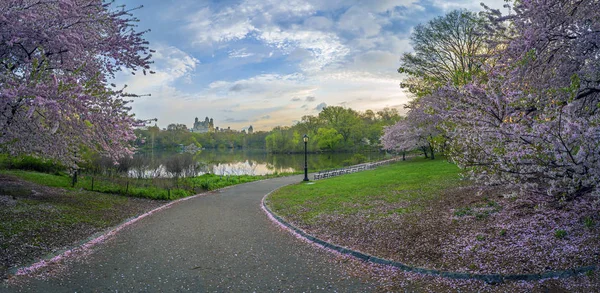 Central Park na Primavera — Fotografia de Stock