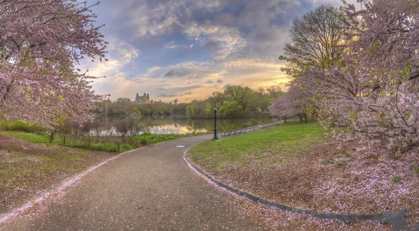 Central Park en primavera — Foto de Stock